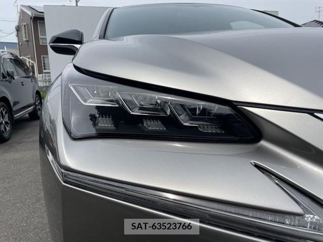 Lexus NX 2015-10 299728-22