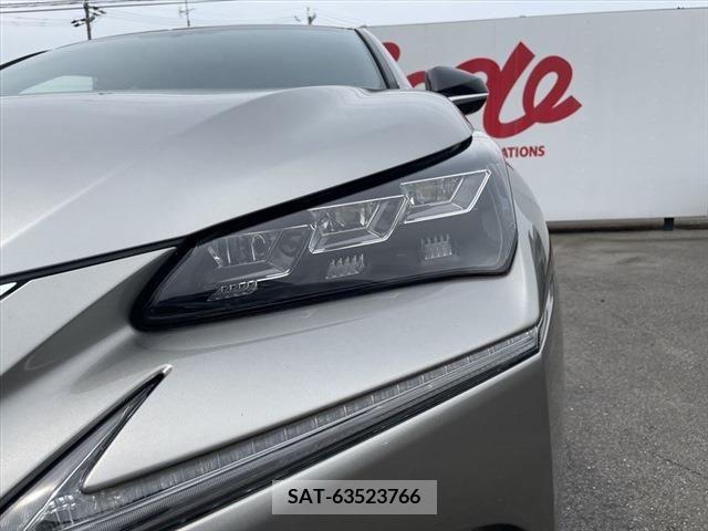 Lexus NX 2015-10 299728-21