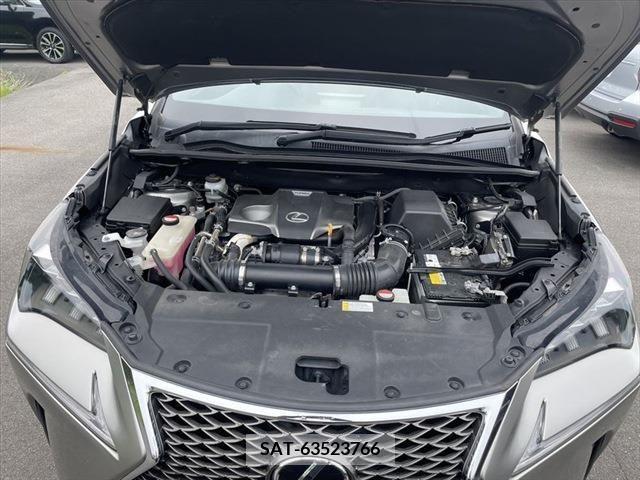 Lexus NX 2015-10 299728-29