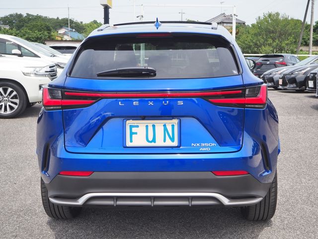 Lexus NX 2022-06 7932-6