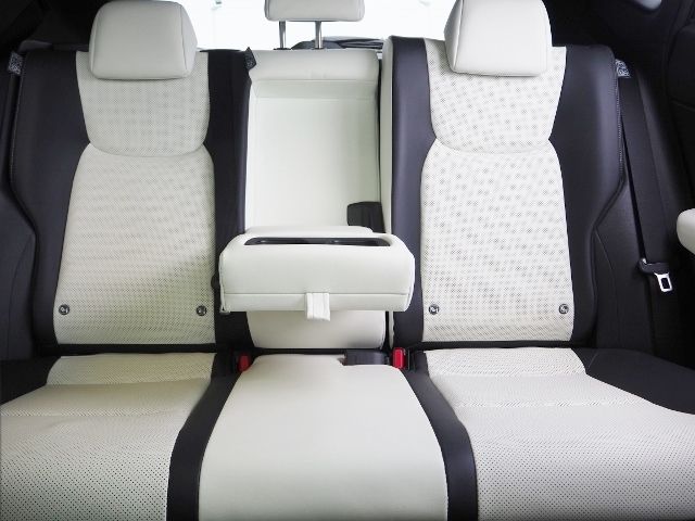 Lexus NX 2022-06 7932-15