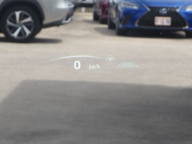 Lexus NX 2022-06 7932-25