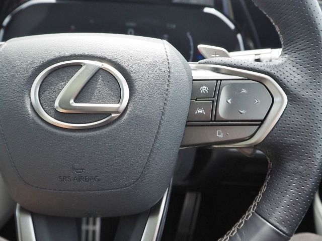 Lexus NX 2022-06 7932-20