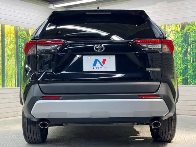 Toyota RAV4 2019-09 196679-14