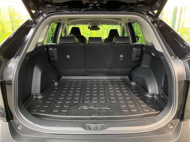 Toyota RAV4 2019-09 196679-10
