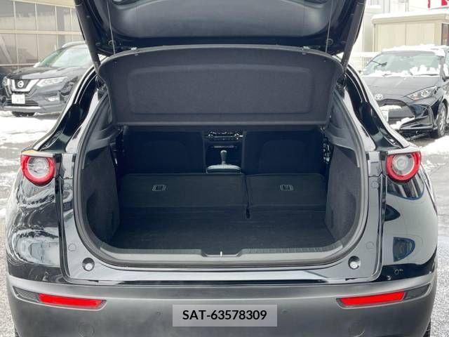 Mazda CX-30 2020-03 221719-10