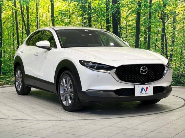 Mazda CX-30 2023-03 187363-16