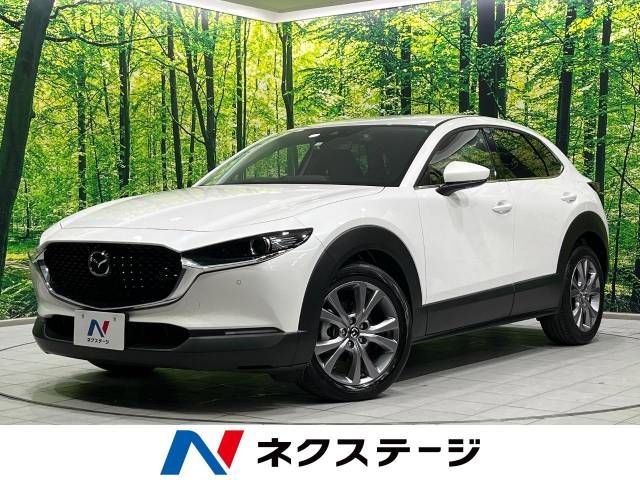 Mazda CX-30 2023-03 187363-0