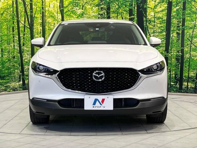 Mazda CX-30 2023-03 187363-14