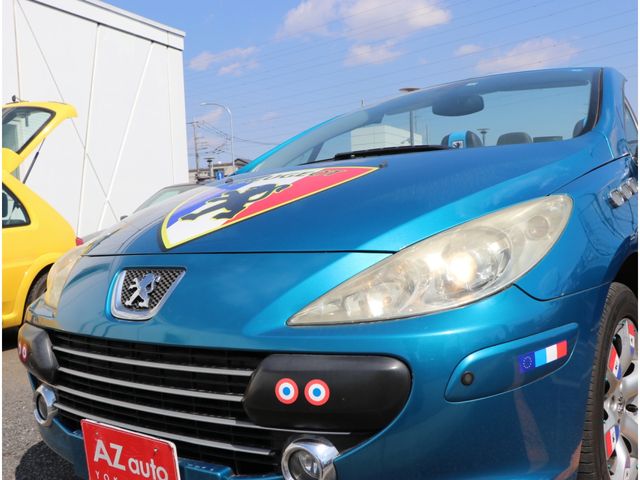 Peugeot 307 2007-03 1565-19