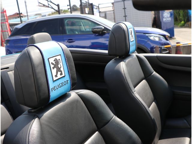 Peugeot 307 2007-03 1565-12