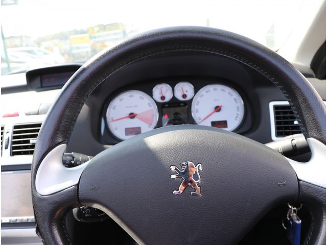 Peugeot 307 2007-03 1565-1