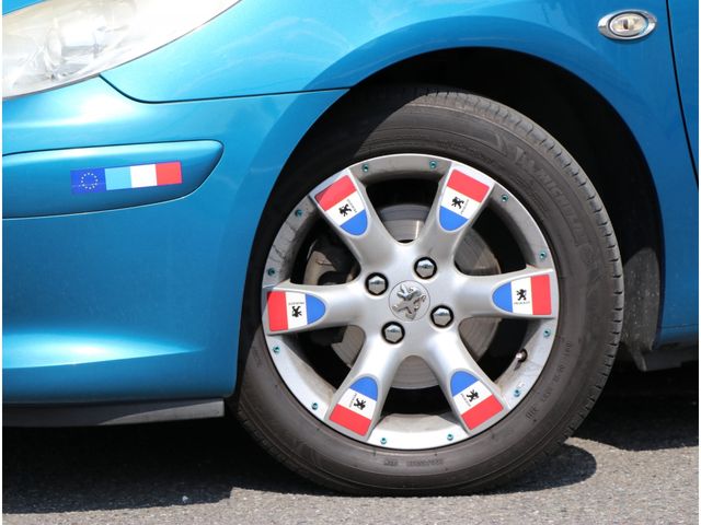 Peugeot 307 2007-03 1565-16