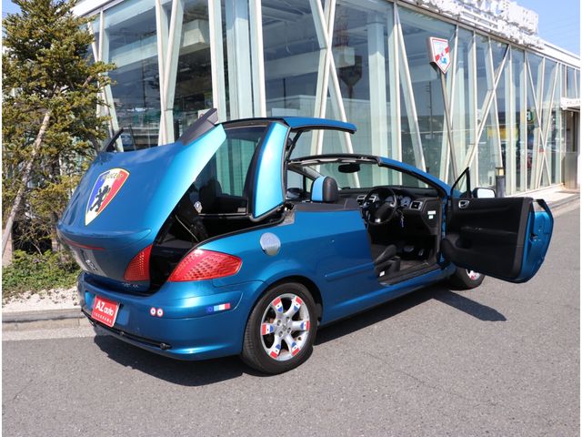 Peugeot 307 2007-03 1565-20