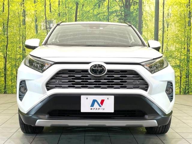 Toyota RAV4 2020-01 186977-14
