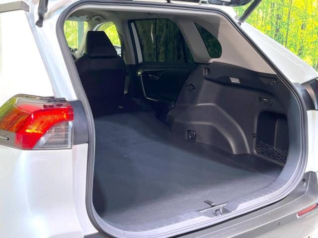 Toyota RAV4 2020-01 186977-10