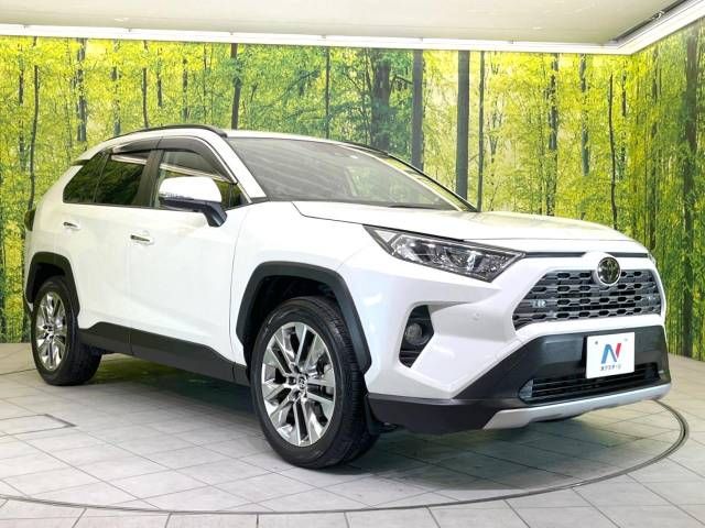 Toyota RAV4 2020-01 186977-16