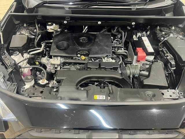 Toyota RAV4 2021-01 181993-11