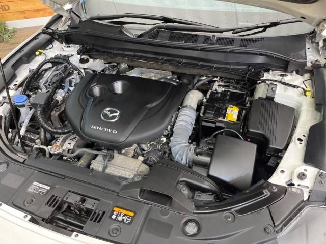 Mazda CX-8 2021-01 22968-19
