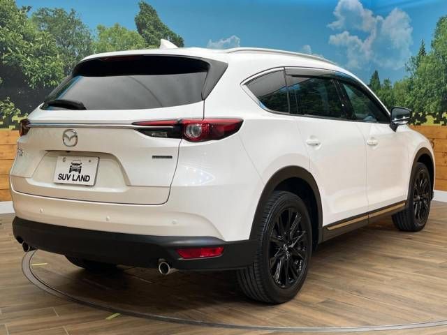 Mazda CX-8 2021-01 22968-18