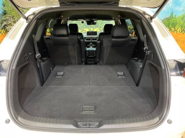 Mazda CX-8 2021-01 22968-11