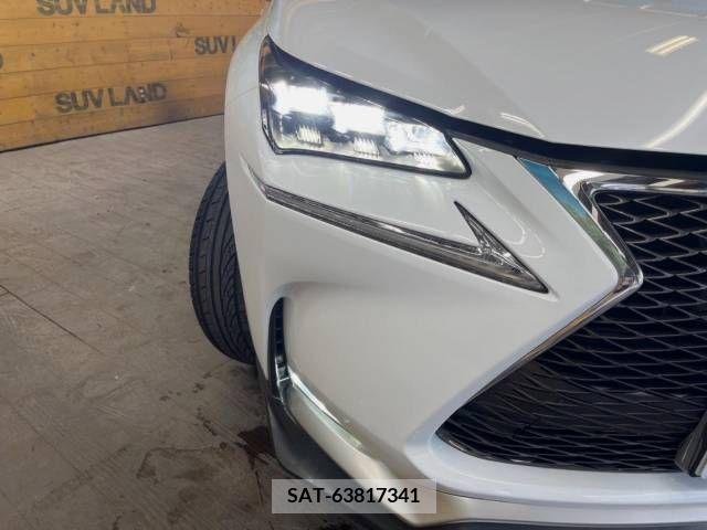 Lexus NX 2015-11 275598-12