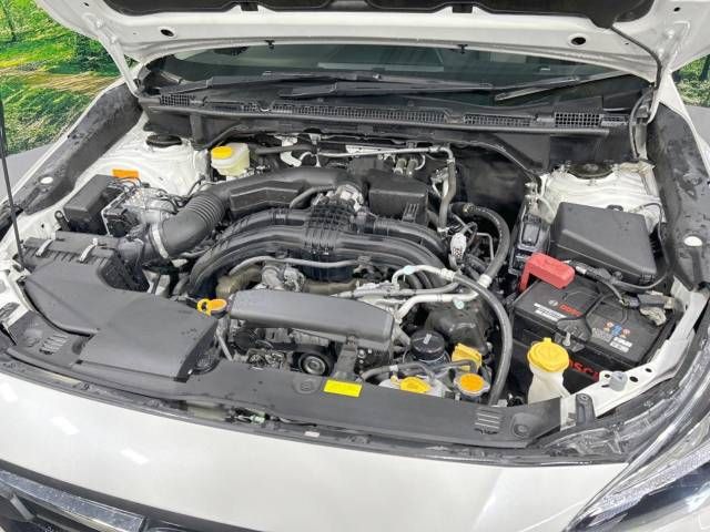 Subaru SUBARU 2017-06 190493-18
