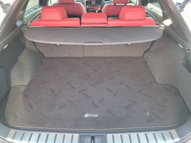 Lexus RX 2021-06 27228-29
