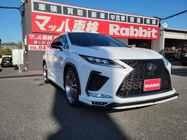 Lexus RX 2021-06 27228-6