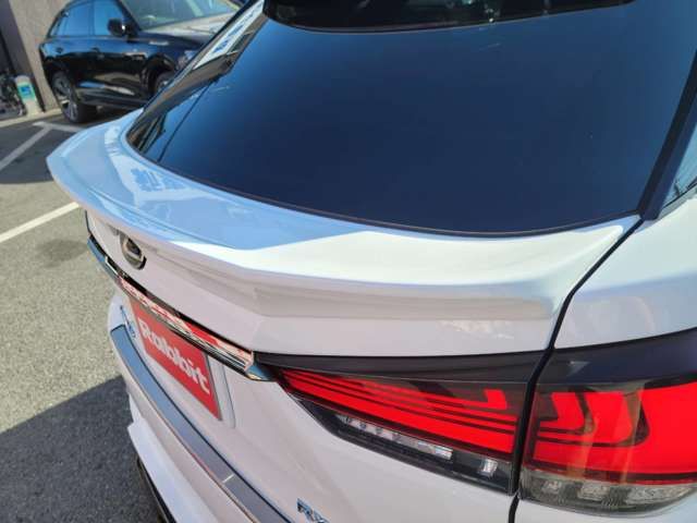 Lexus RX 2021-06 27228-15