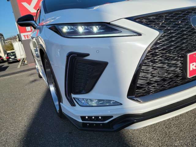 Lexus RX 2021-06 27228-2