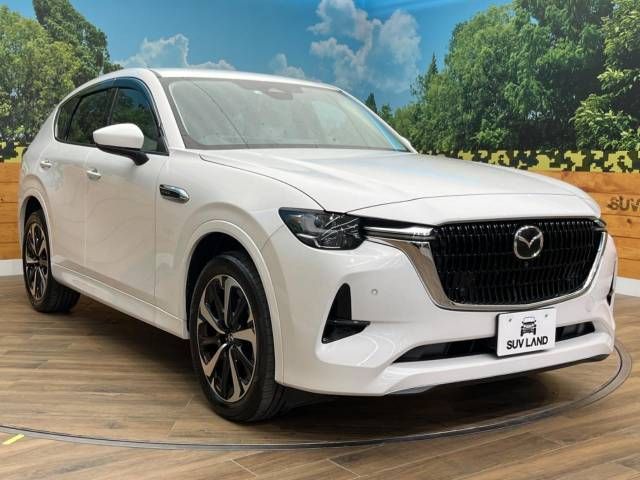 Mazda CX-60 2022-10 194899-16