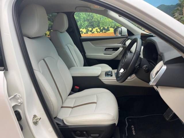 Mazda CX-60 2022-10 194899-8