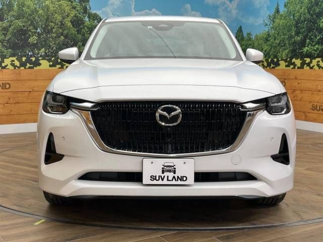 Mazda CX-60 2022-10 194899-14
