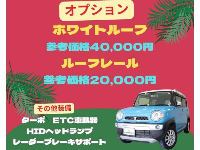 Suzuki HUSTLER 2014-09 190046-11