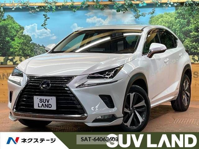 Lexus NX 2019-08 388304-0
