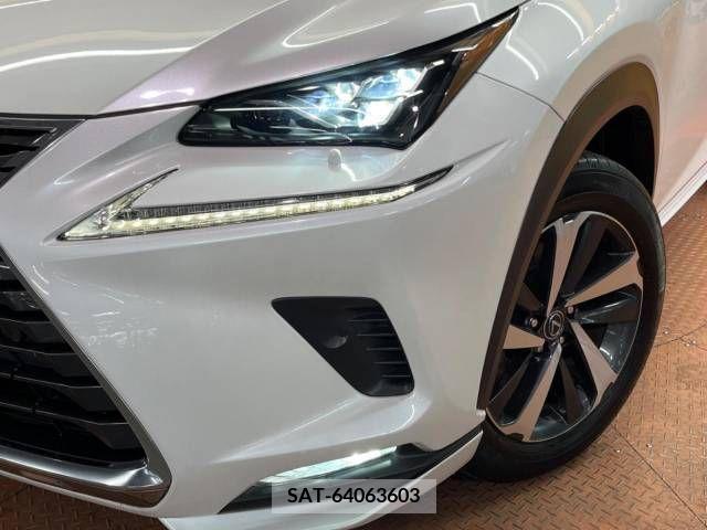 Lexus NX 2019-08 388304-14