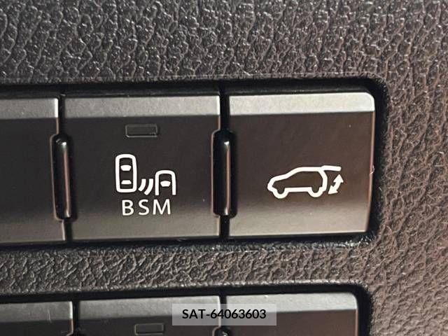 Lexus NX 2019-08 388304-10