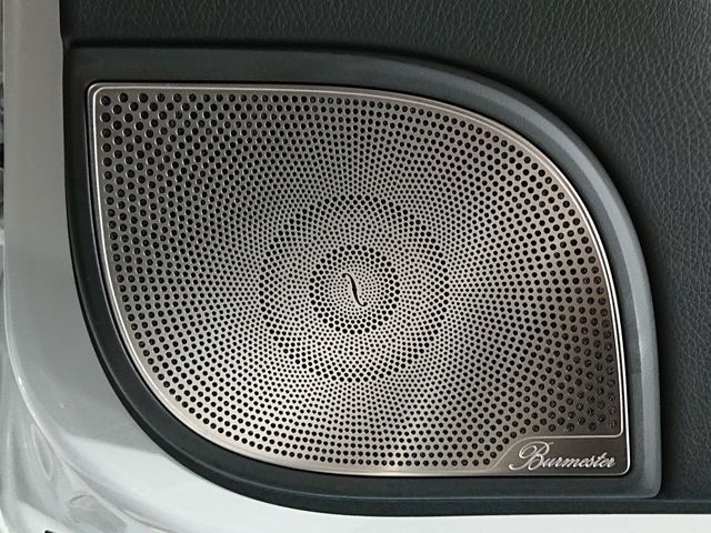Mercedes Benz G-CLASS 2023-02 184667-20