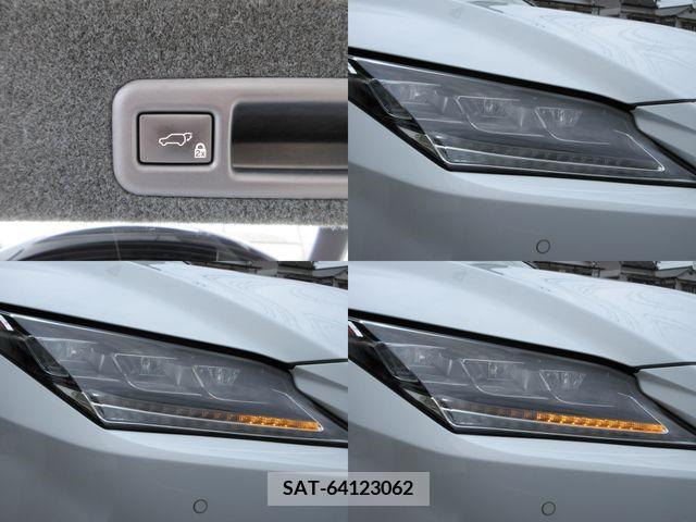 Lexus RX 2017-07 388300-21