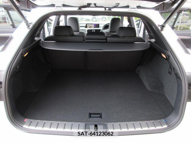 Lexus RX 2017-07 388300-7