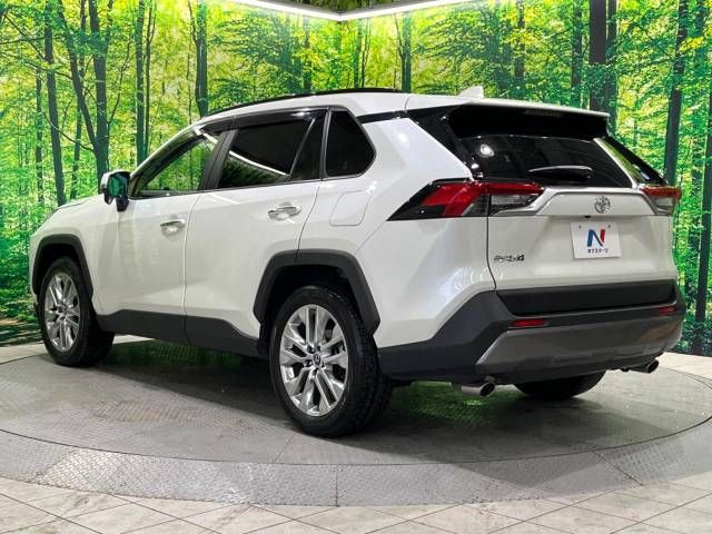 Toyota RAV4 2019-06 183692-18