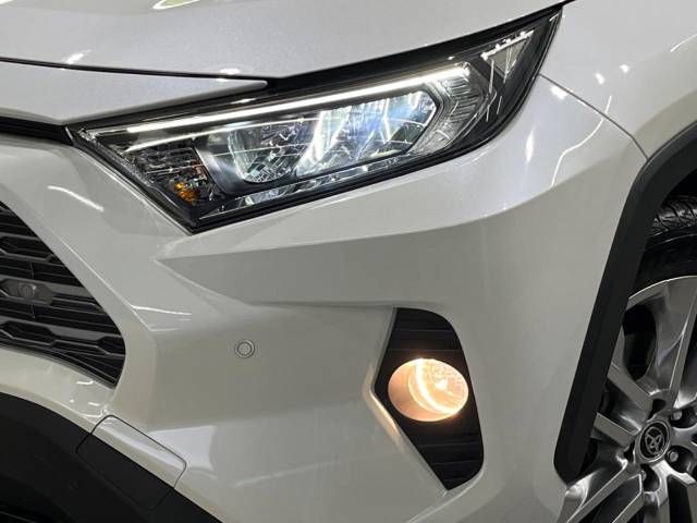 Toyota RAV4 2019-06 183692-12