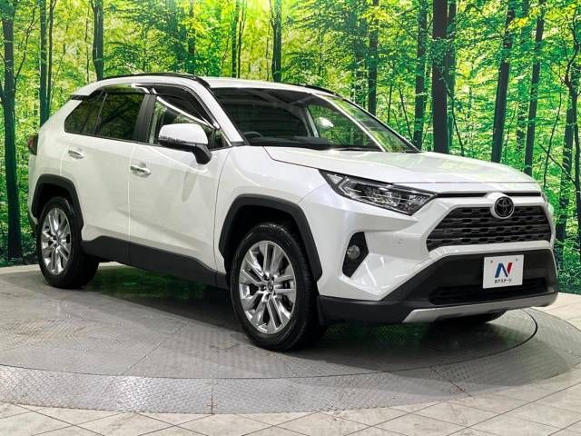 Toyota RAV4 2019-06 183692-17