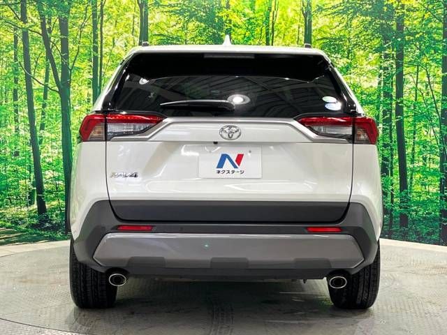 Toyota RAV4 2019-06 183692-16