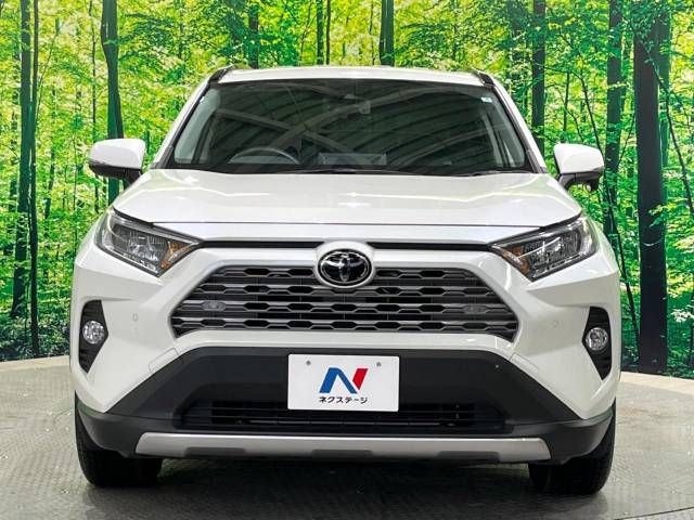 Toyota RAV4 2019-06 183692-15