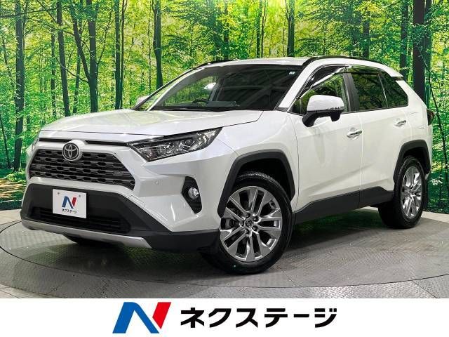 Toyota RAV4 2019-06 183692-0