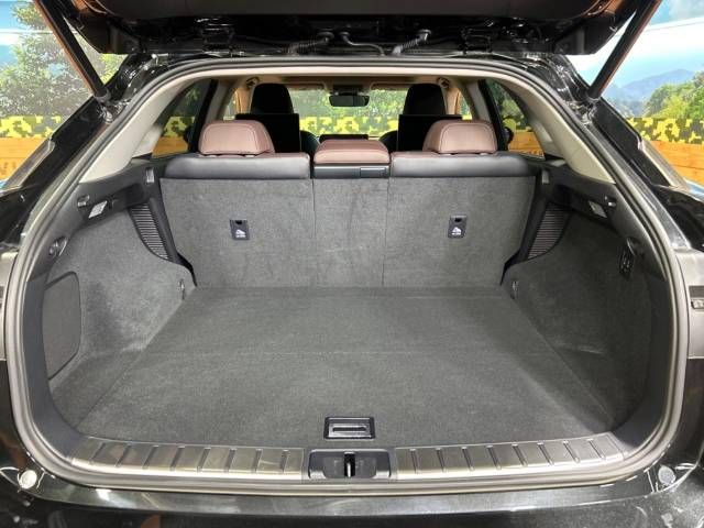 Lexus RX 2017-03 185319-11
