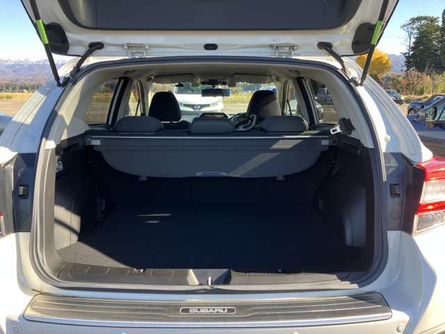 Subaru XV HYBRID 2018-11 184866-19