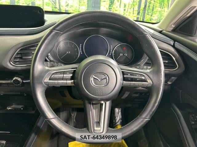 Mazda CX-30 2019-10 209658-11